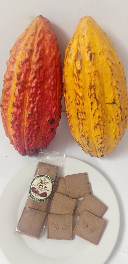 Galletas de polvo de cacao con canela y leche D'Andiel